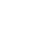 Social icon 1